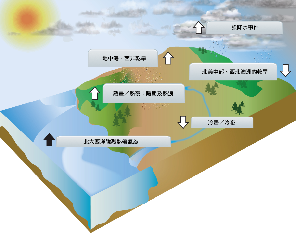 從20世紀中葉開始的不同極端候事件包括熱晝、熱夜、暖期及熱浪事件增加,冷晝、冷夜減少,強降水事件增多、乾旱事件增多。北大西洋熱帶氣旋的頻率和活動增加等。