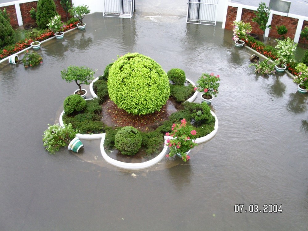 2004年7月3日前門花圃積水。點此顯示大圖(彈出視窗)