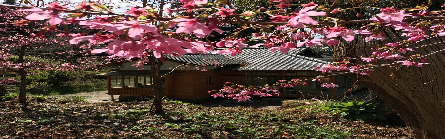 阿里山氣象站圖2