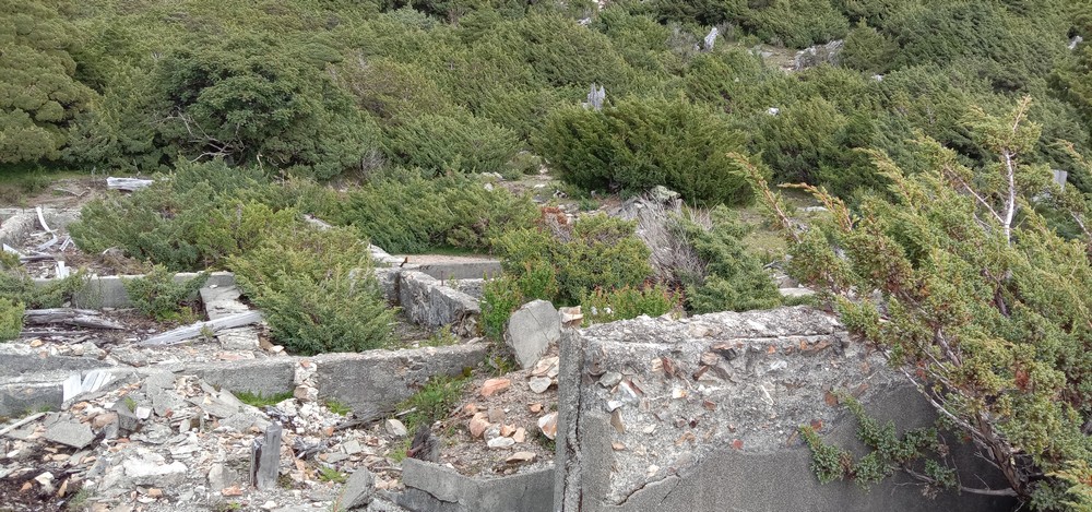 2022年所攝之日治時期宿舍遺跡。點此顯示大圖(彈出視窗)