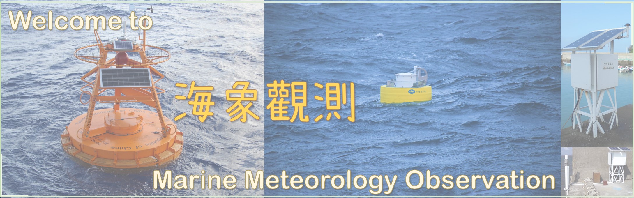 海象觀測圖