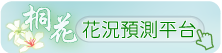 桐花．花況預報